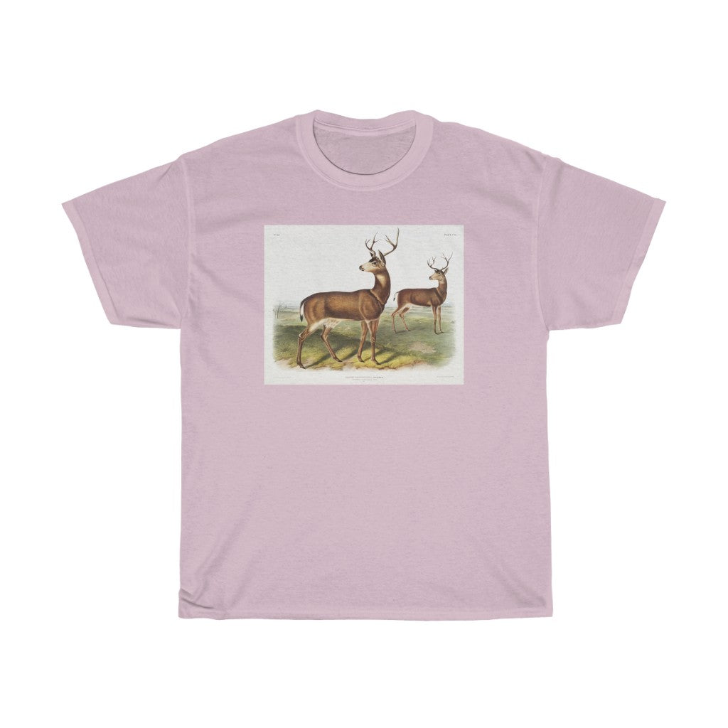 buck Zoology Heavy Cotton Tee