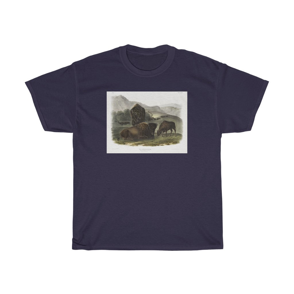 bison Zoology Heavy Cotton Tee