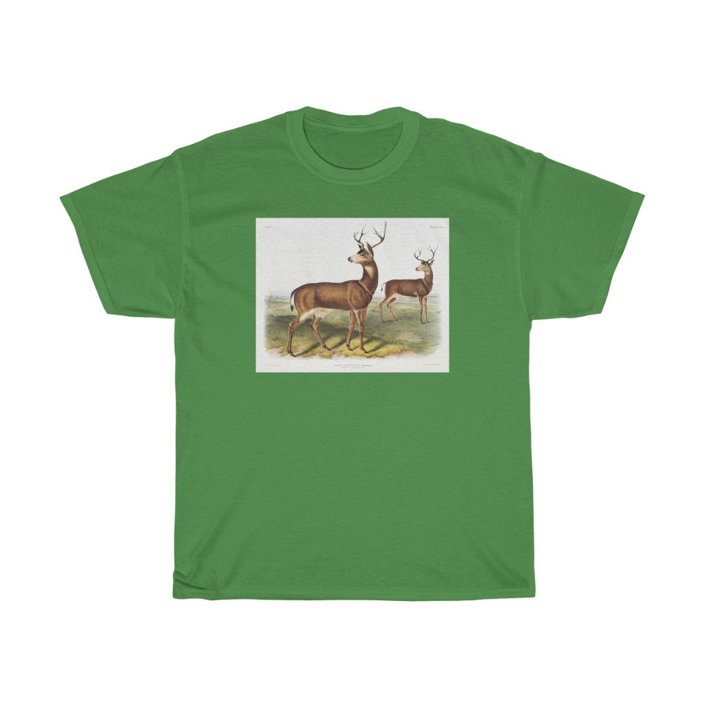 buck Zoology Heavy Cotton Tee
