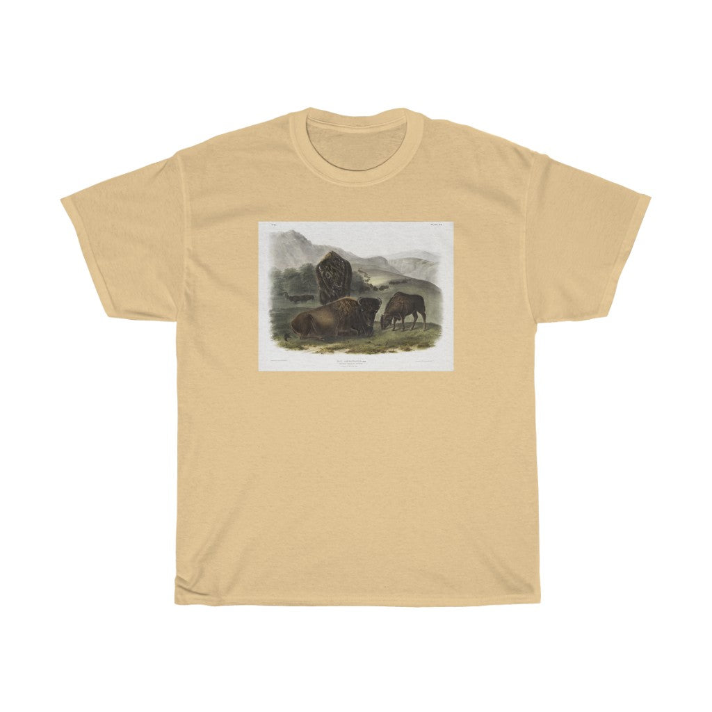bison Zoology Heavy Cotton Tee
