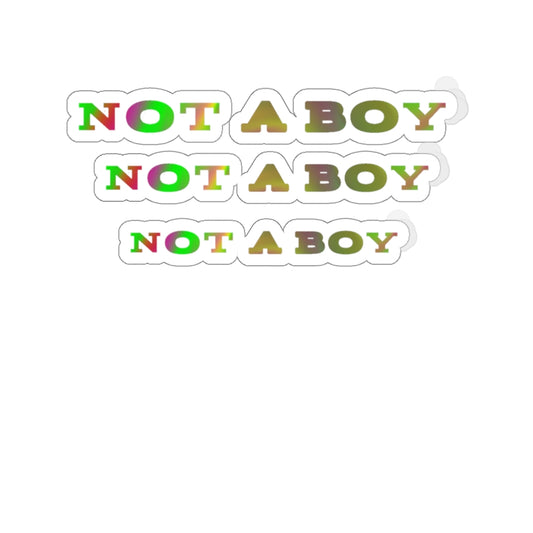 not a boy non-binary Kiss-Cut Stickers