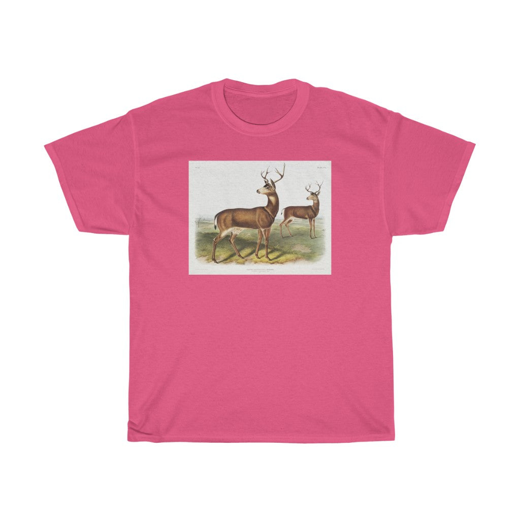buck Zoology Heavy Cotton Tee