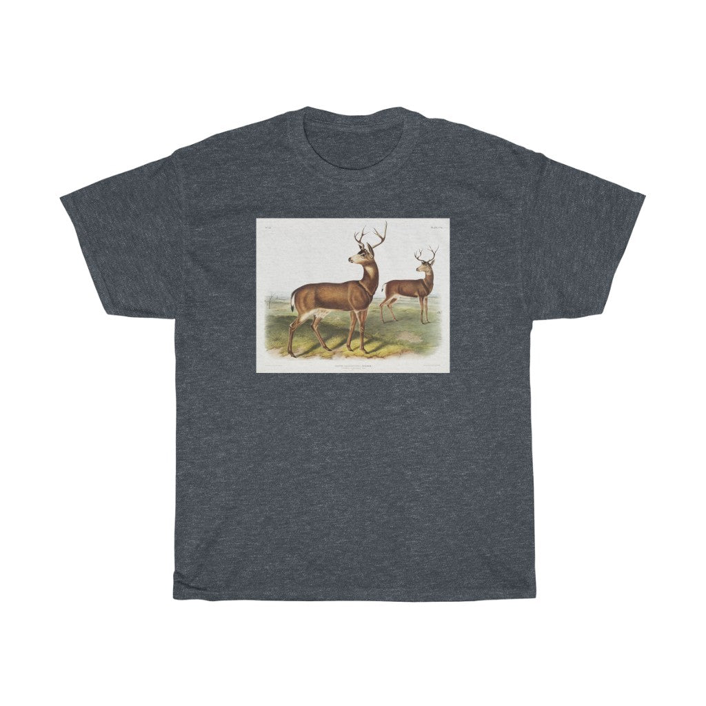 buck Zoology Heavy Cotton Tee