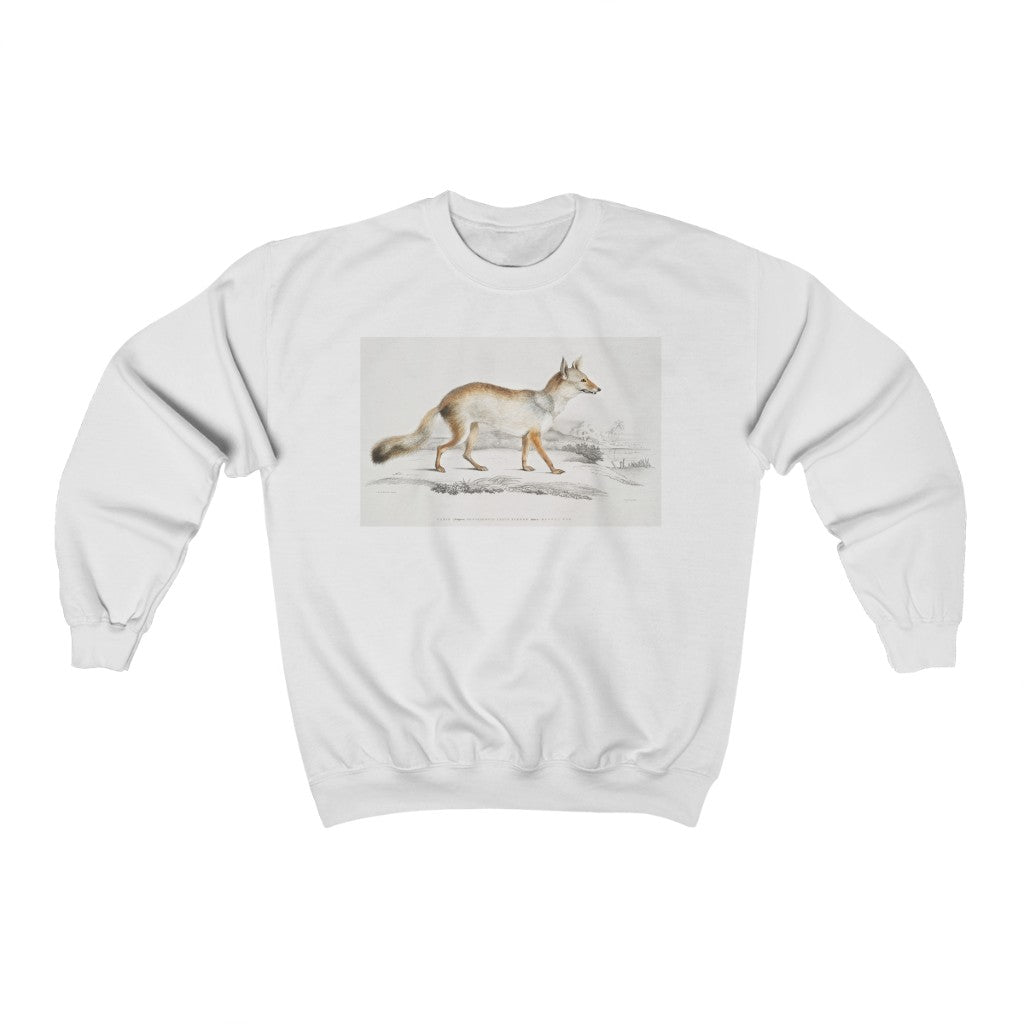 fox zoology Crewneck Sweatshirt