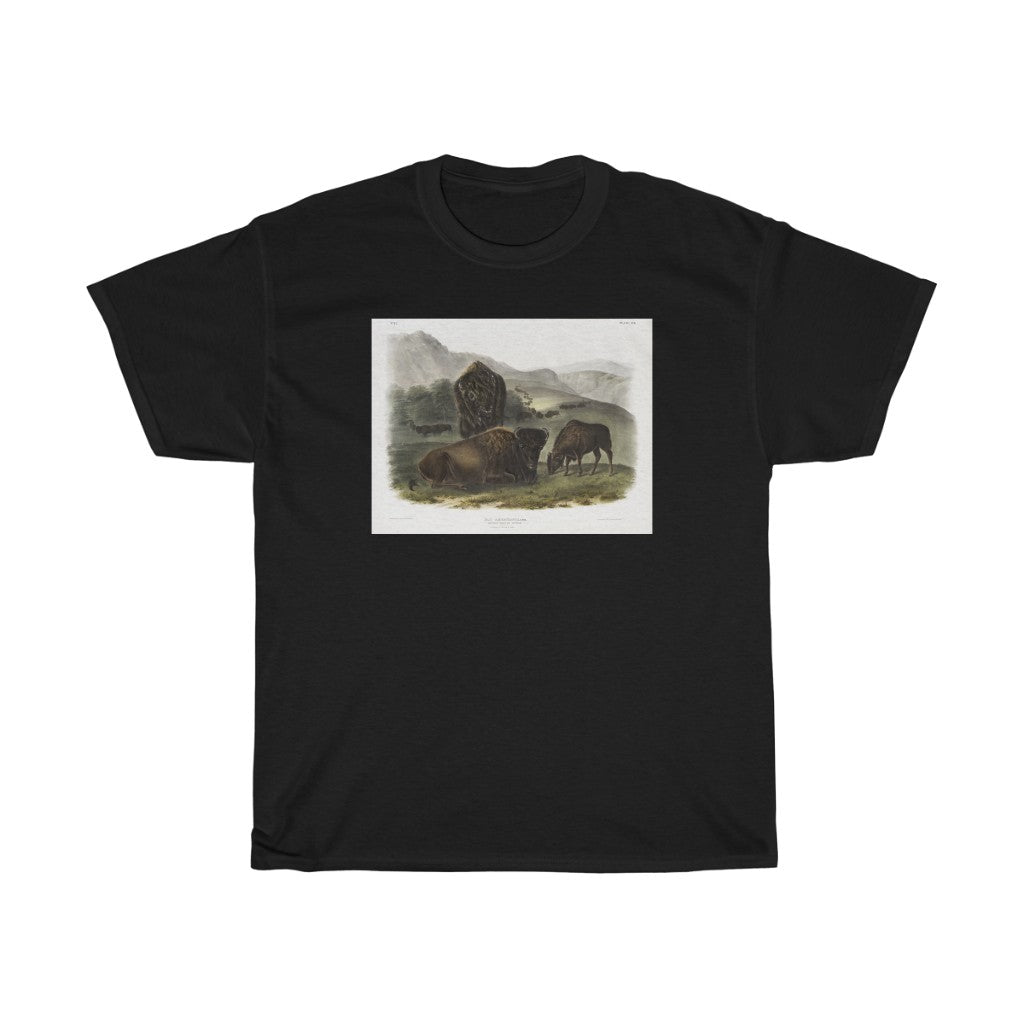 bison Zoology Heavy Cotton Tee