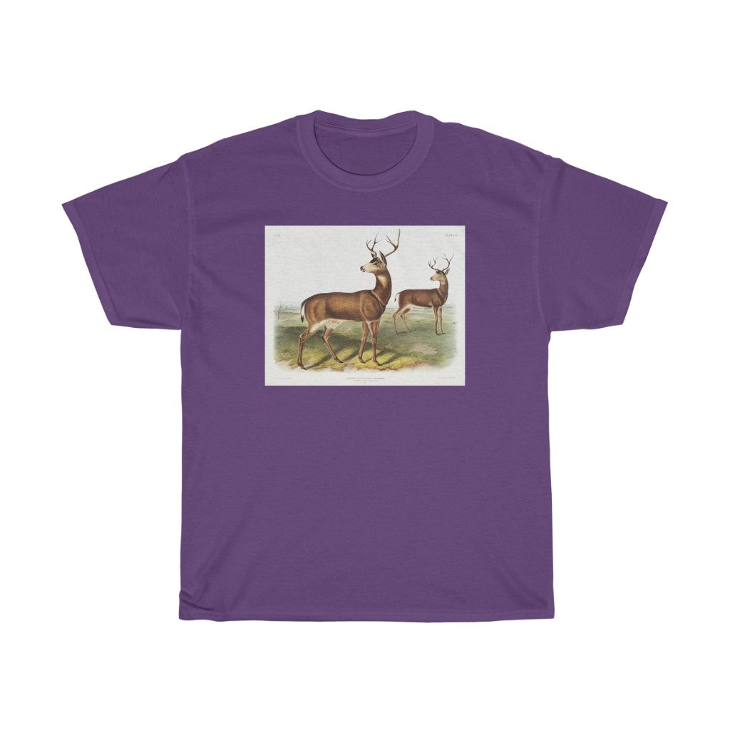 buck Zoology Heavy Cotton Tee