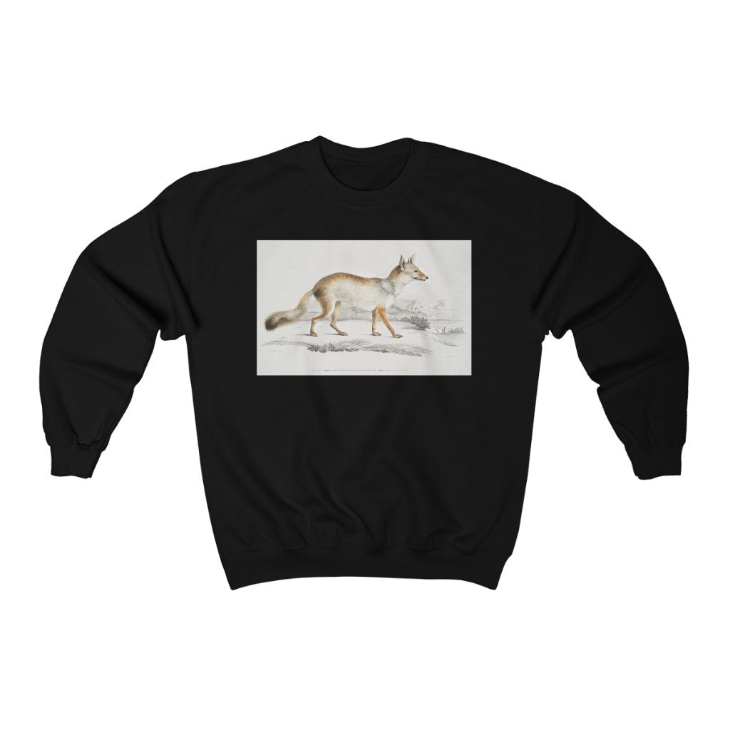 fox zoology Crewneck Sweatshirt