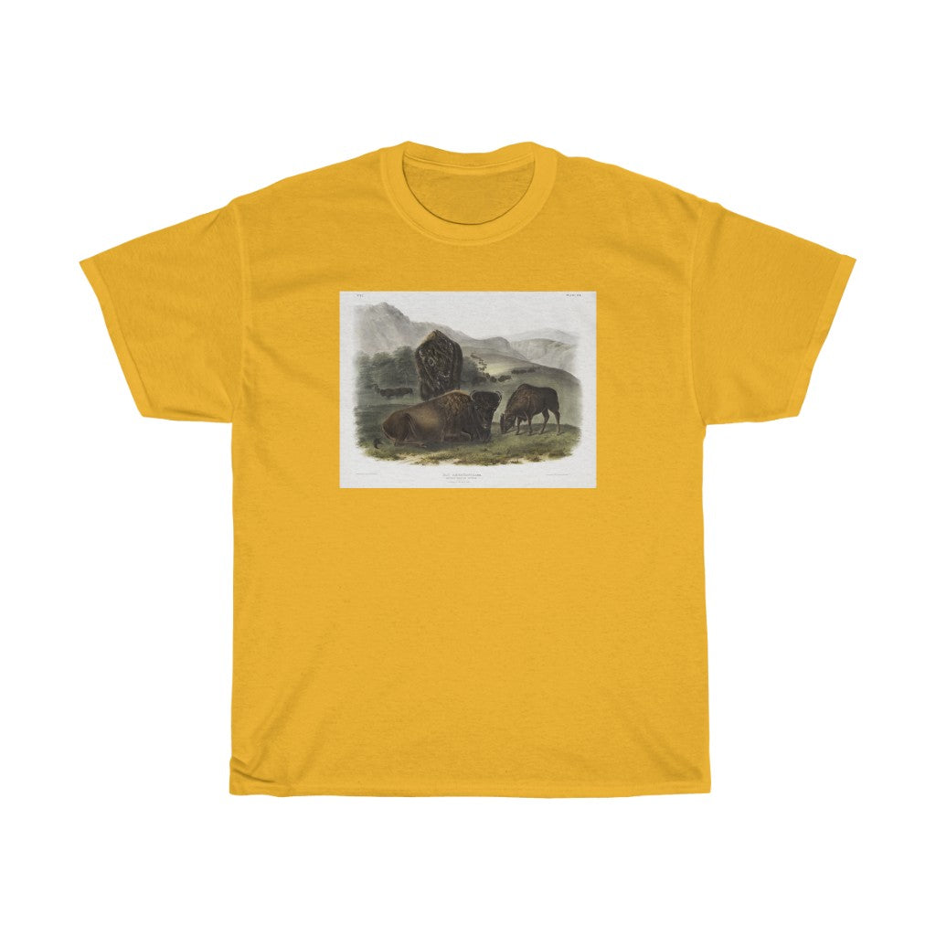 bison Zoology Heavy Cotton Tee