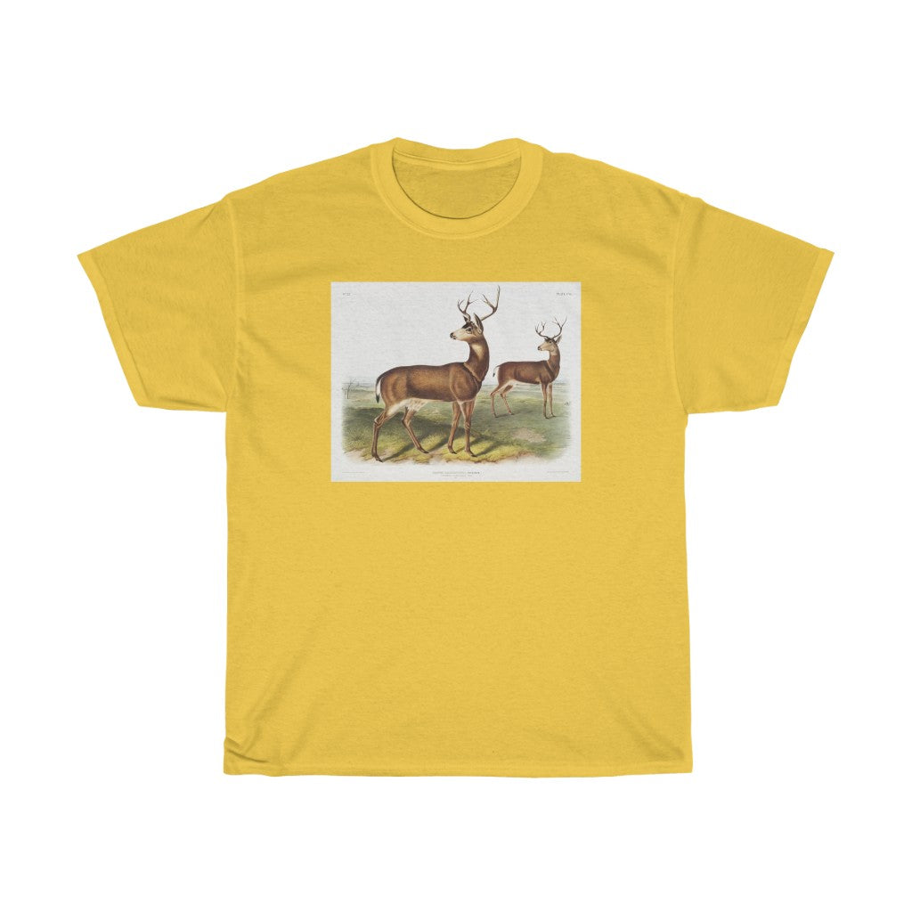 buck Zoology Heavy Cotton Tee
