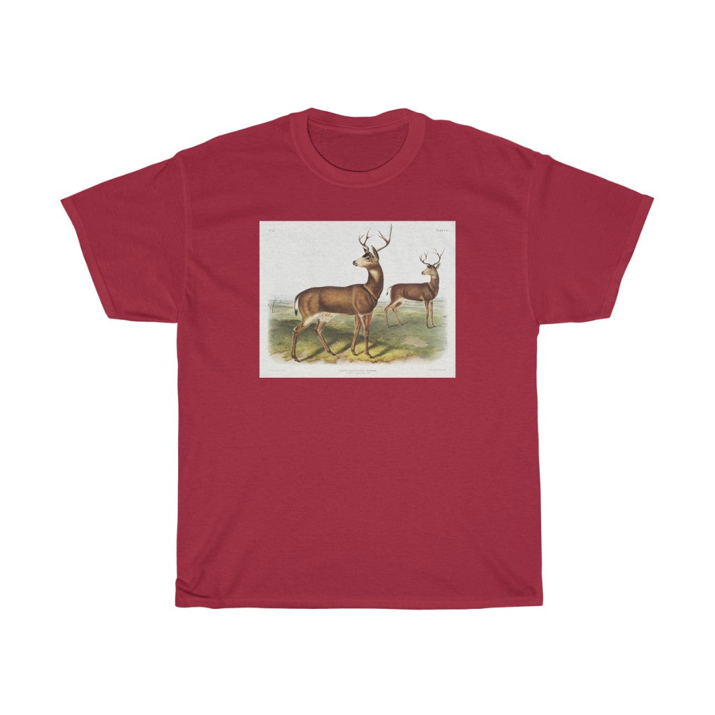 buck Zoology Heavy Cotton Tee
