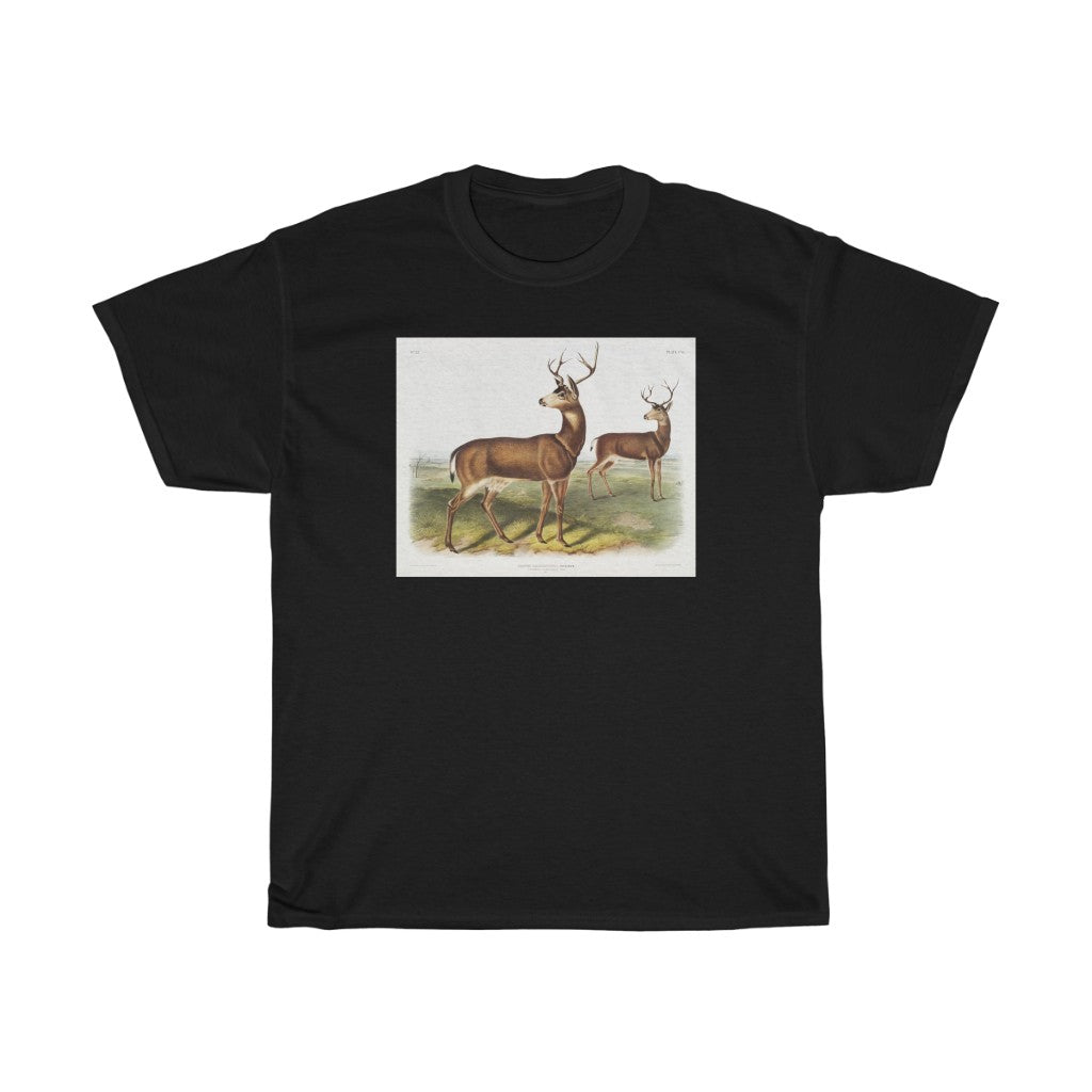 buck Zoology Heavy Cotton Tee