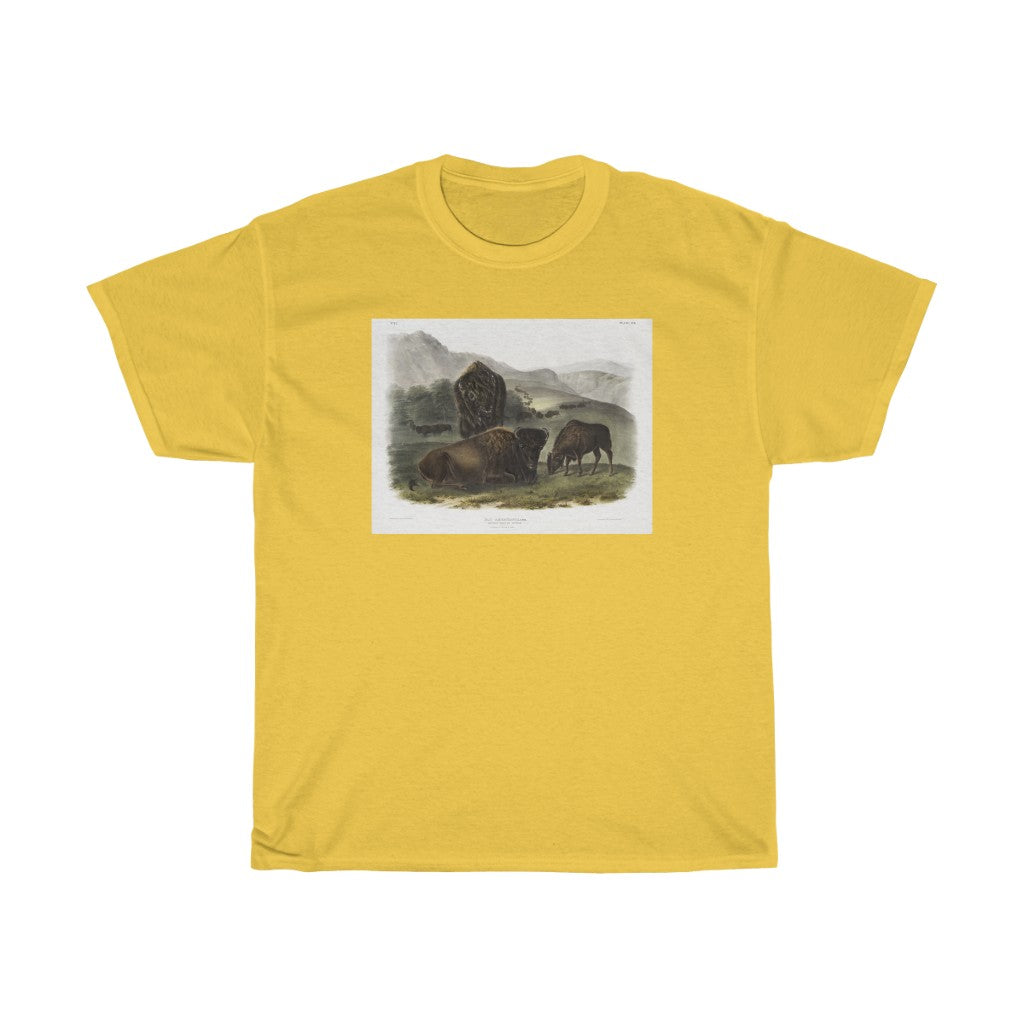 bison Zoology Heavy Cotton Tee