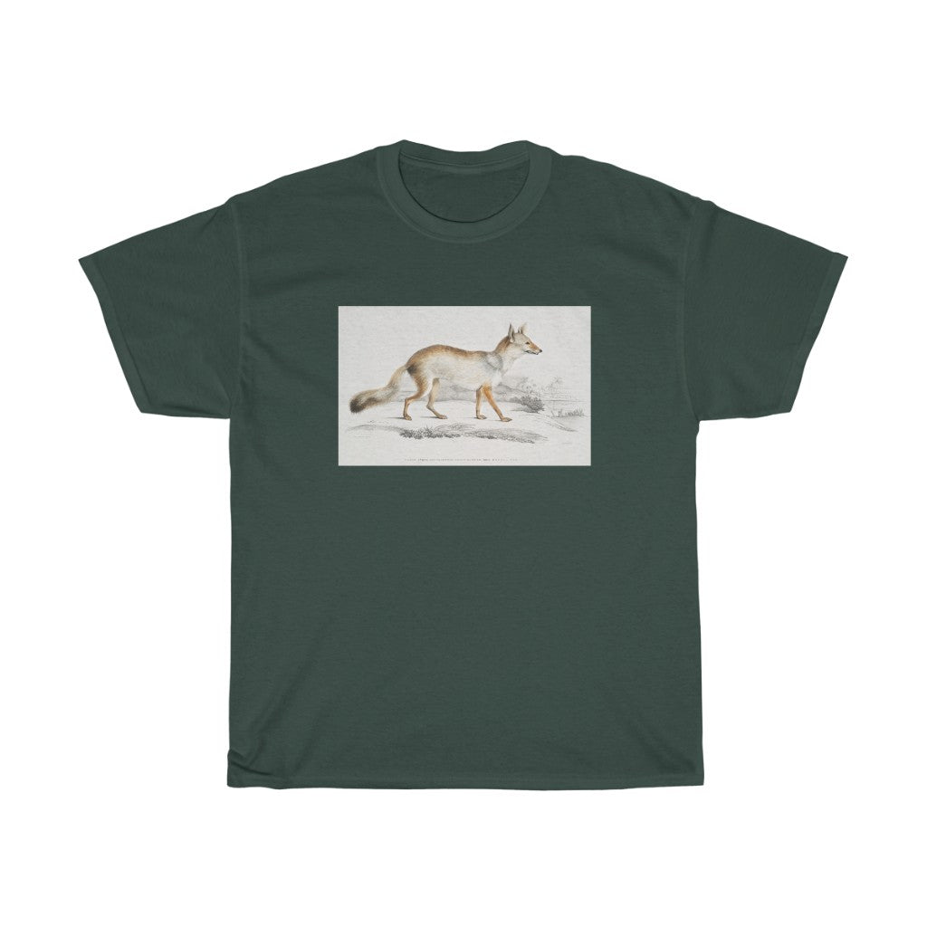 fox Zoology Heavy Cotton Tee