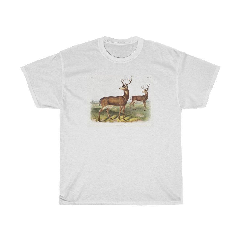 buck Zoology Heavy Cotton Tee