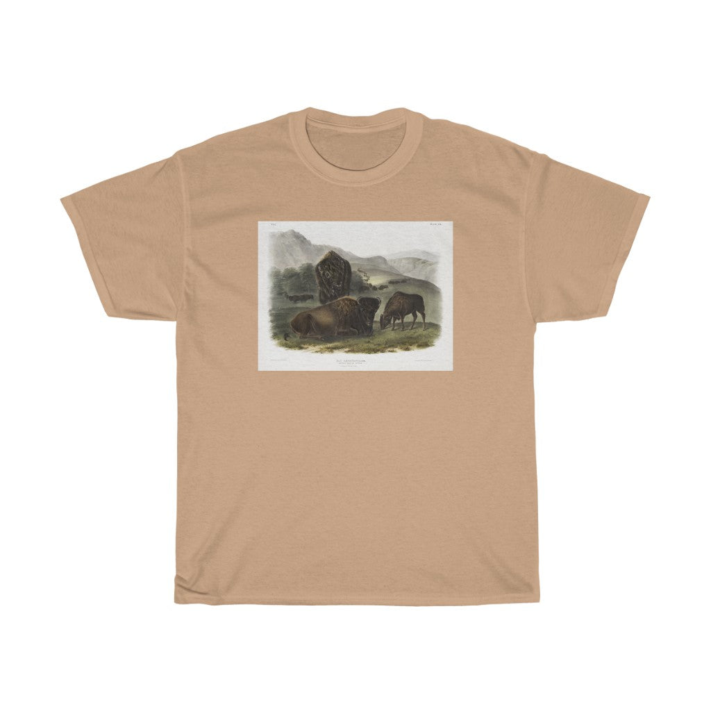 bison Zoology Heavy Cotton Tee