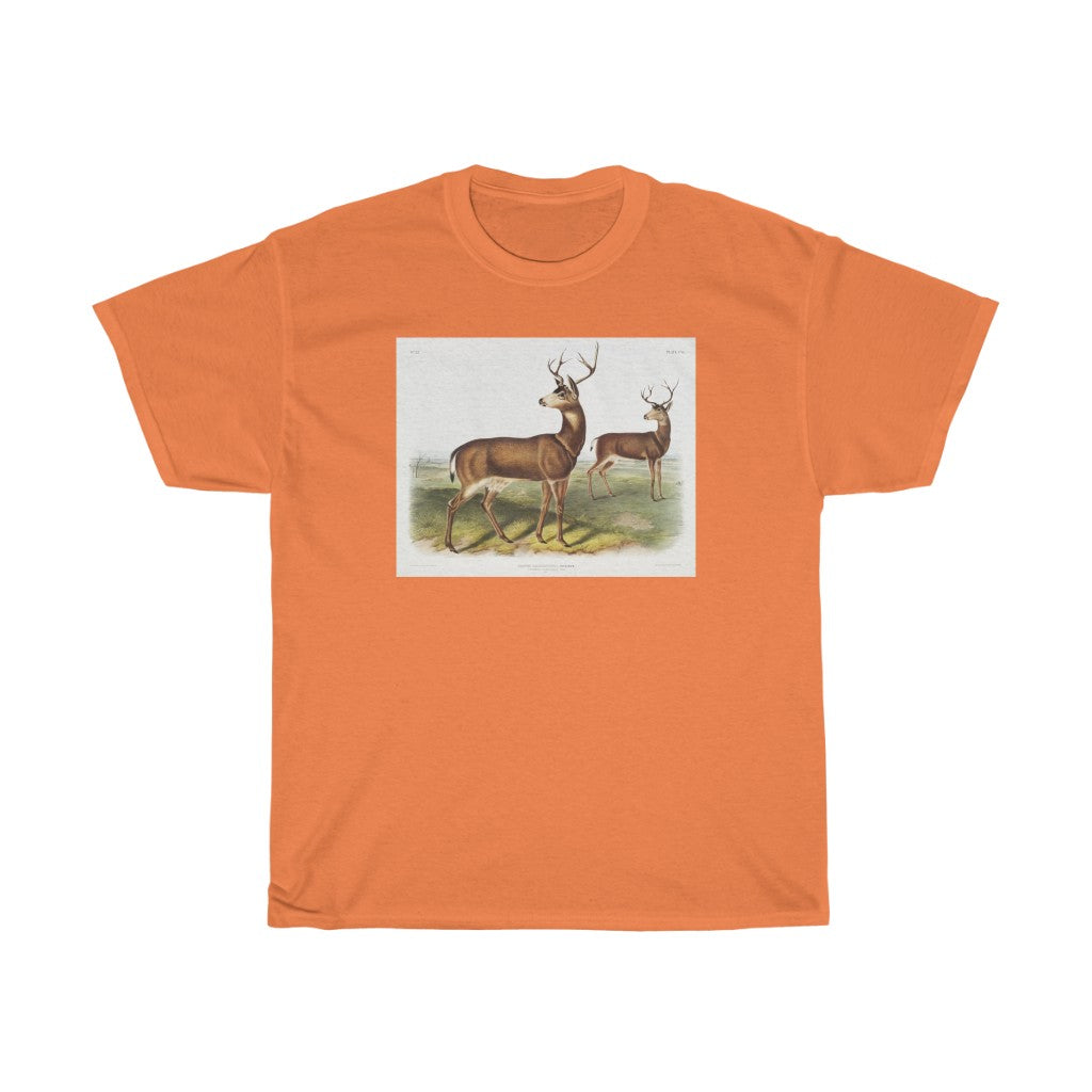 buck Zoology Heavy Cotton Tee