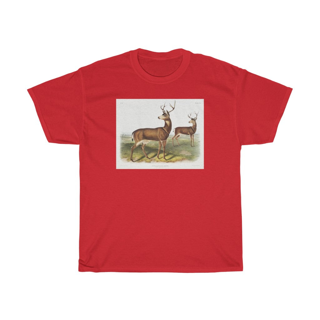 buck Zoology Heavy Cotton Tee
