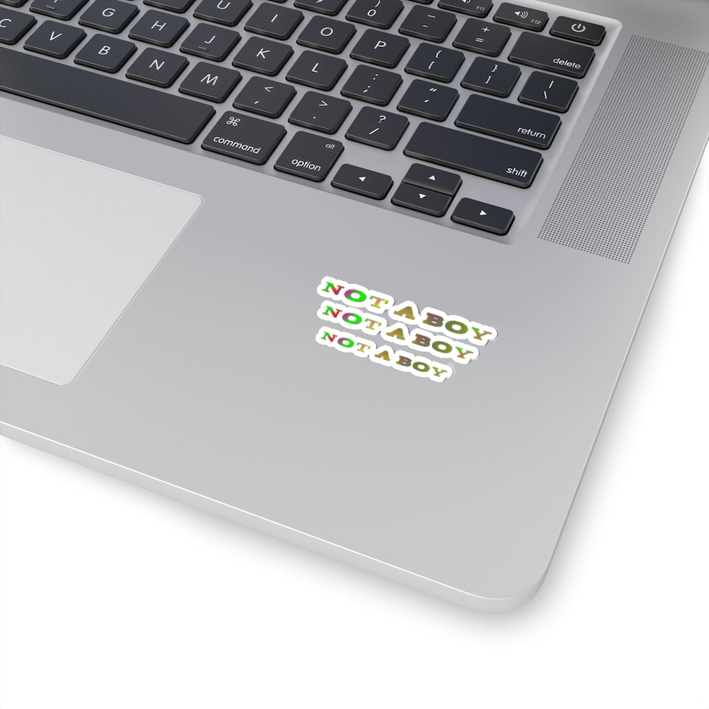 not a boy non-binary Kiss-Cut Stickers